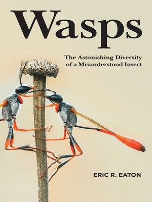 cover image of Wasps